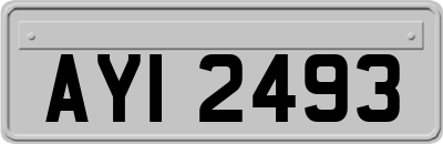 AYI2493