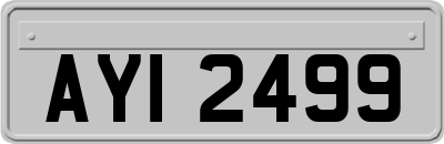 AYI2499