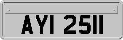 AYI2511