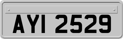 AYI2529