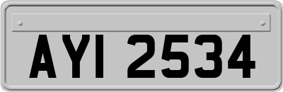 AYI2534
