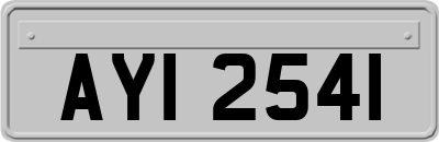AYI2541