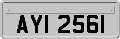 AYI2561