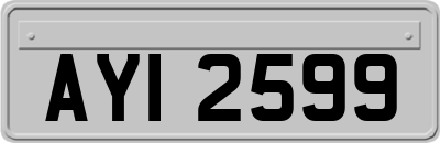 AYI2599