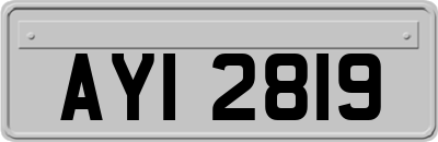 AYI2819