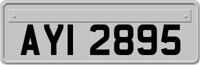 AYI2895