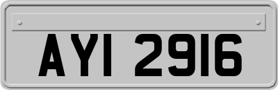 AYI2916
