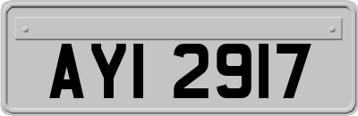 AYI2917