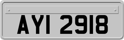 AYI2918