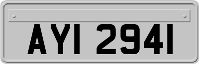 AYI2941