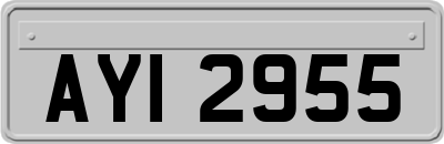 AYI2955