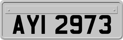 AYI2973