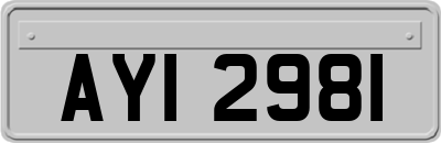 AYI2981