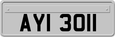 AYI3011