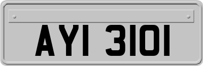 AYI3101