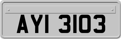 AYI3103
