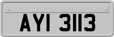 AYI3113