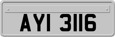 AYI3116
