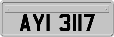 AYI3117