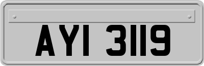 AYI3119