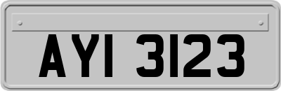 AYI3123