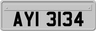 AYI3134