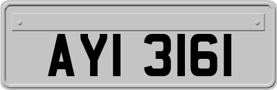 AYI3161