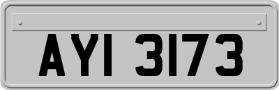 AYI3173