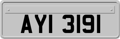 AYI3191