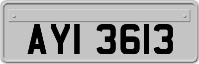 AYI3613