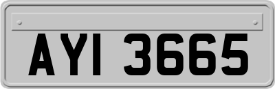 AYI3665
