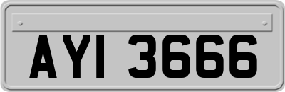 AYI3666