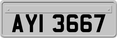 AYI3667