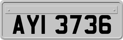 AYI3736