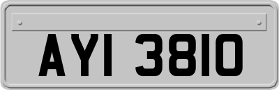 AYI3810