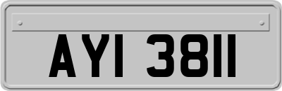 AYI3811