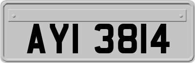 AYI3814