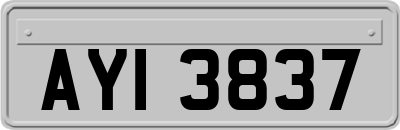 AYI3837