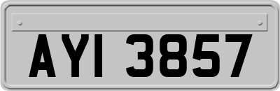 AYI3857