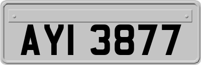 AYI3877