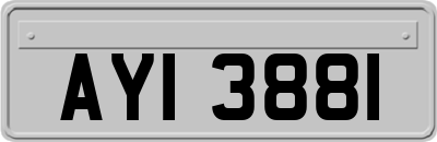 AYI3881