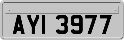 AYI3977