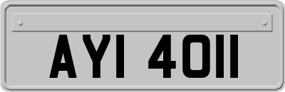 AYI4011