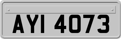 AYI4073