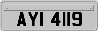 AYI4119