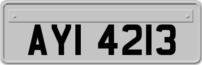 AYI4213