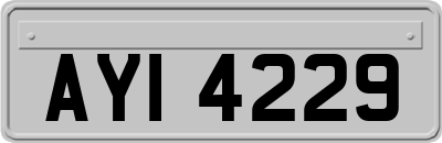 AYI4229