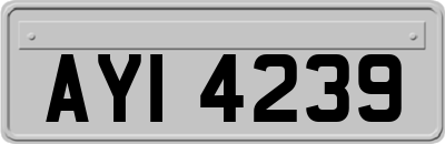 AYI4239