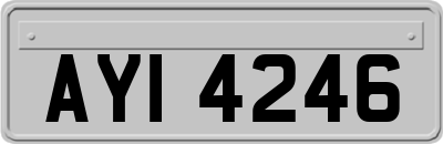 AYI4246