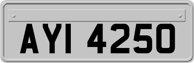 AYI4250
